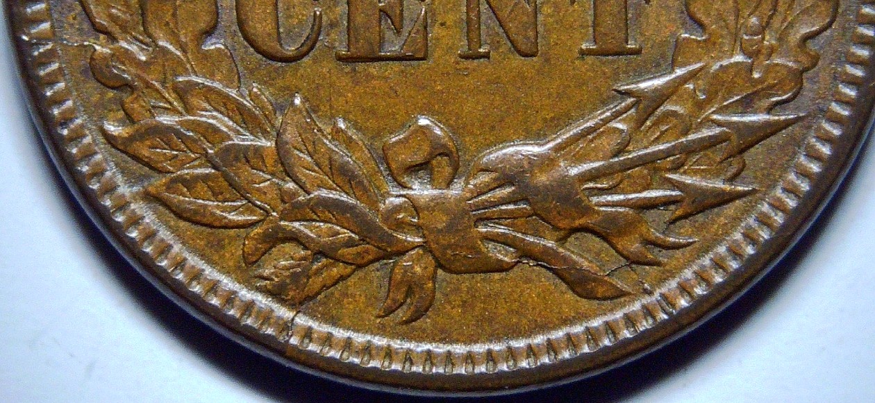 For-Grading---1891-Indian-Head-Cent