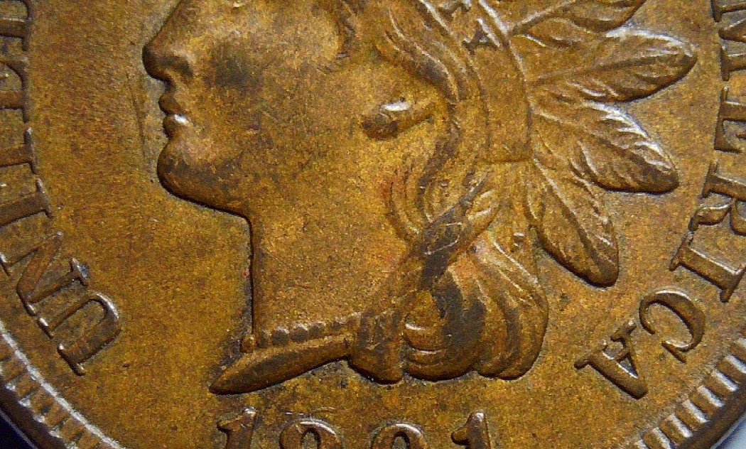 For-Grading---1891-Indian-Head-Cent