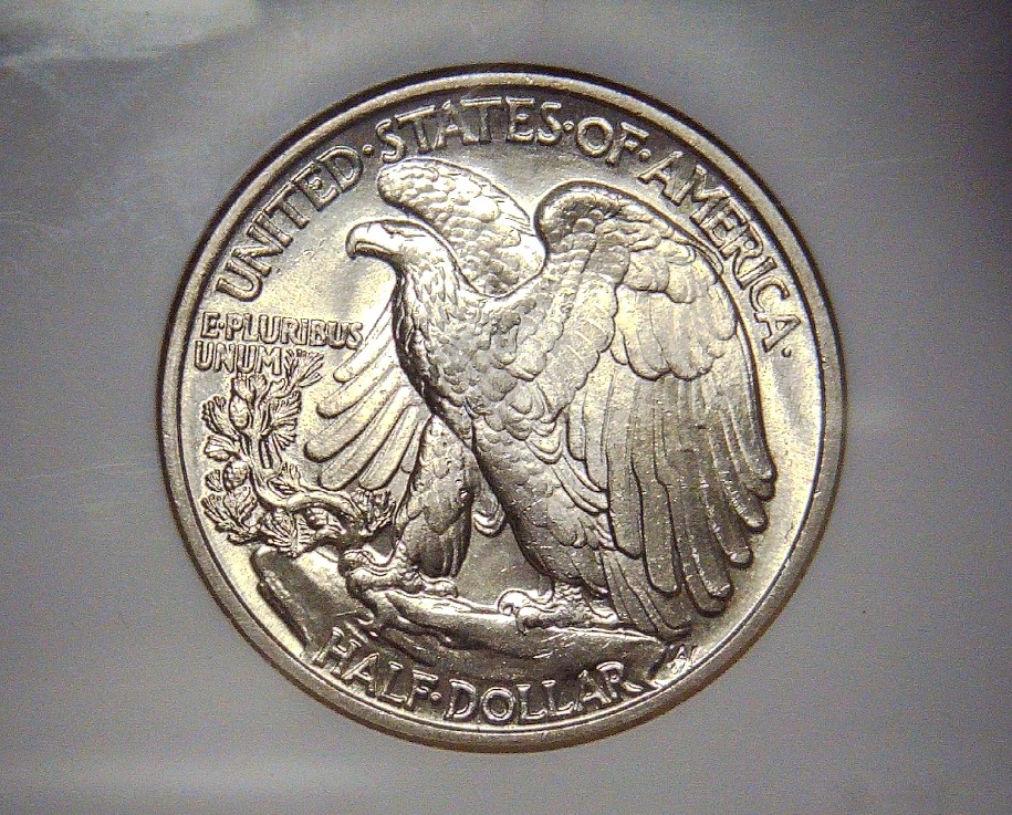 Continuing-List-To-Show-Everyones-Latest-Acquisitions