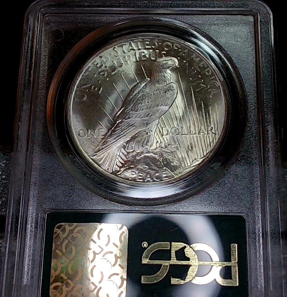 Continuing-List-To-Show-Everyones-Latest-Acquisitions