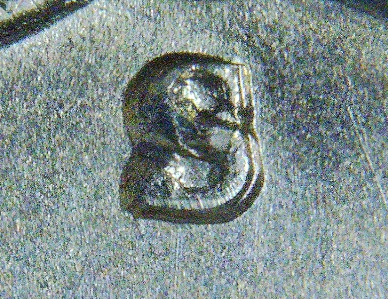 1943-S-Washington-Quarter---Trumpet-Tail-MM?