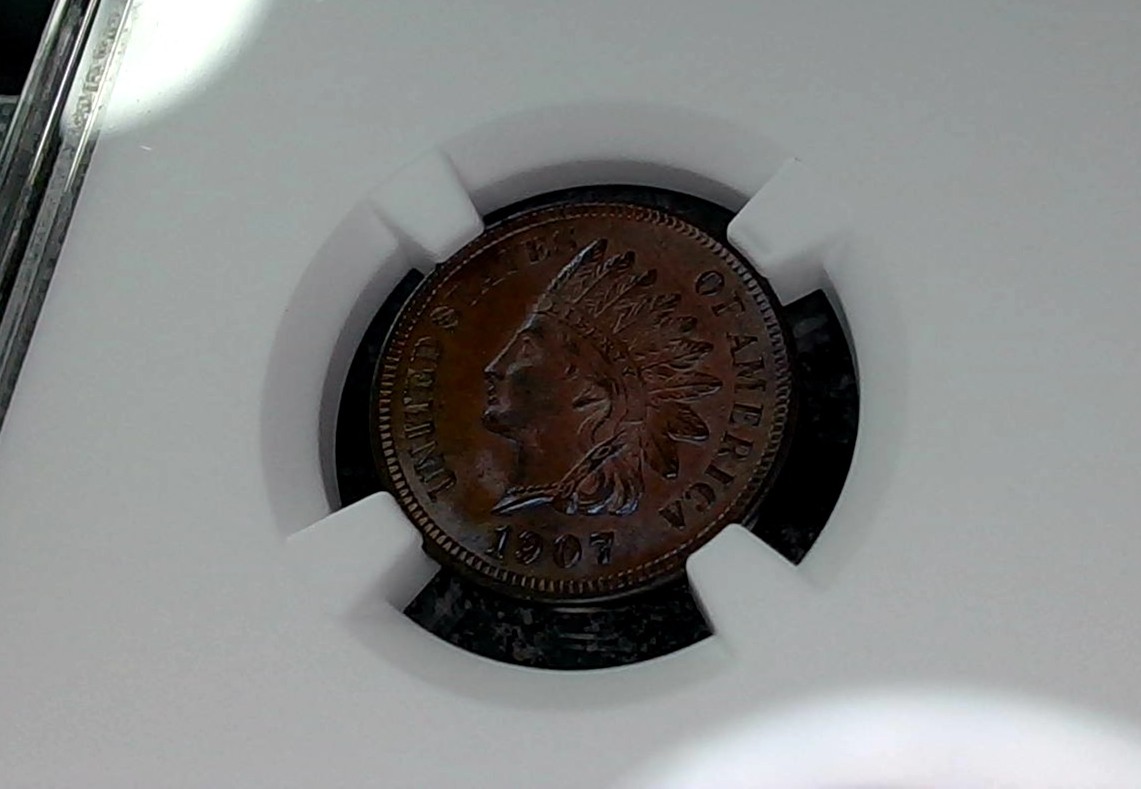 Continuing-List-To-Show-Everyones-Latest-Acquisitions