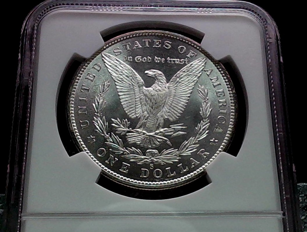 Continuing-List-To-Show-Everyones-Latest-Acquisitions