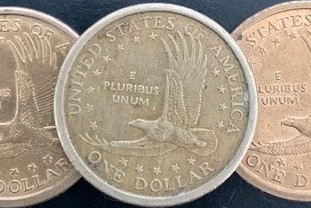 2000-P-Sacagawea-Coin-Odd-Tone
