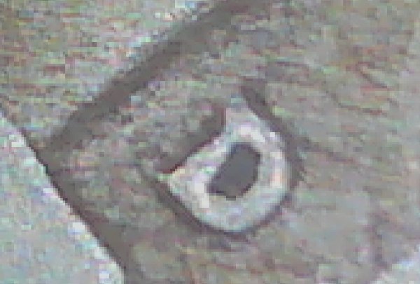 Probably-Not-Seeing-What-I-Think-I-Might-Be...-1949-D/S-Jefferson-Nickel?