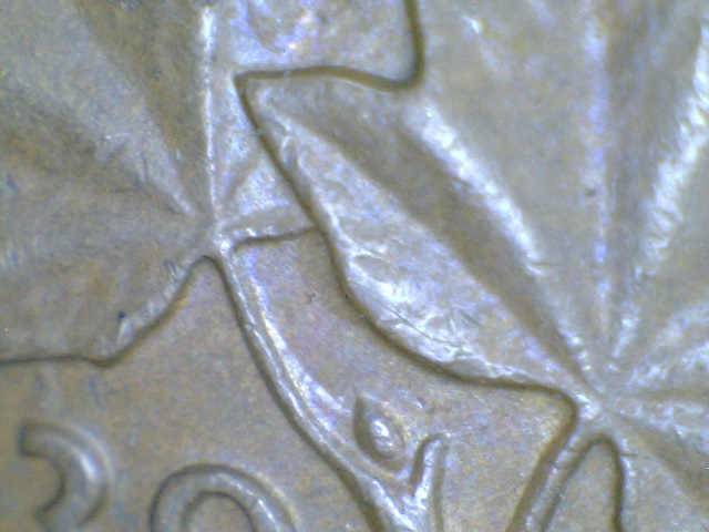 1920-1988-Small-Cents-From-Circulation,-First-