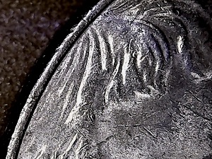 2017-D-Jefferson-Nickel-With-Definite-Defference