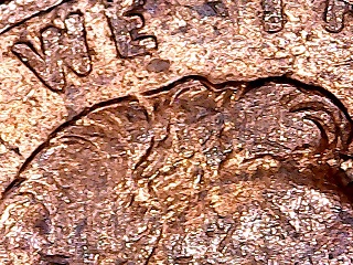 1992-D-LMC-The-Nose-Knows