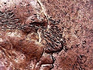 2004-P-LMC-Lincoln's-Brainstorm