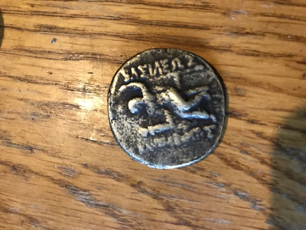 Baktrian-Coins-Real-Or-Fake?