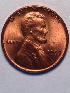 Nicest-Wheat-I've-Ever-Found