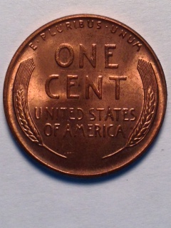 Nicest-Wheat-I've-Ever-Found