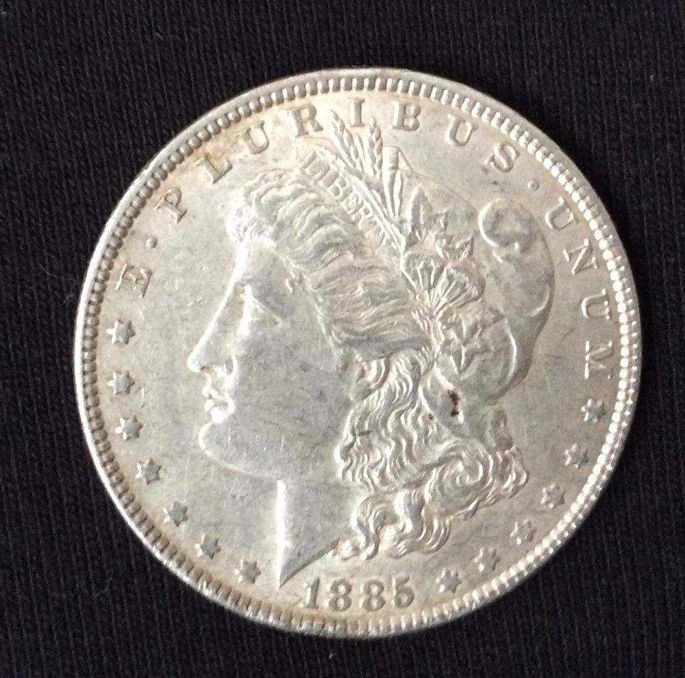 Newbie-Posting-Morgan-Dollar-Photo