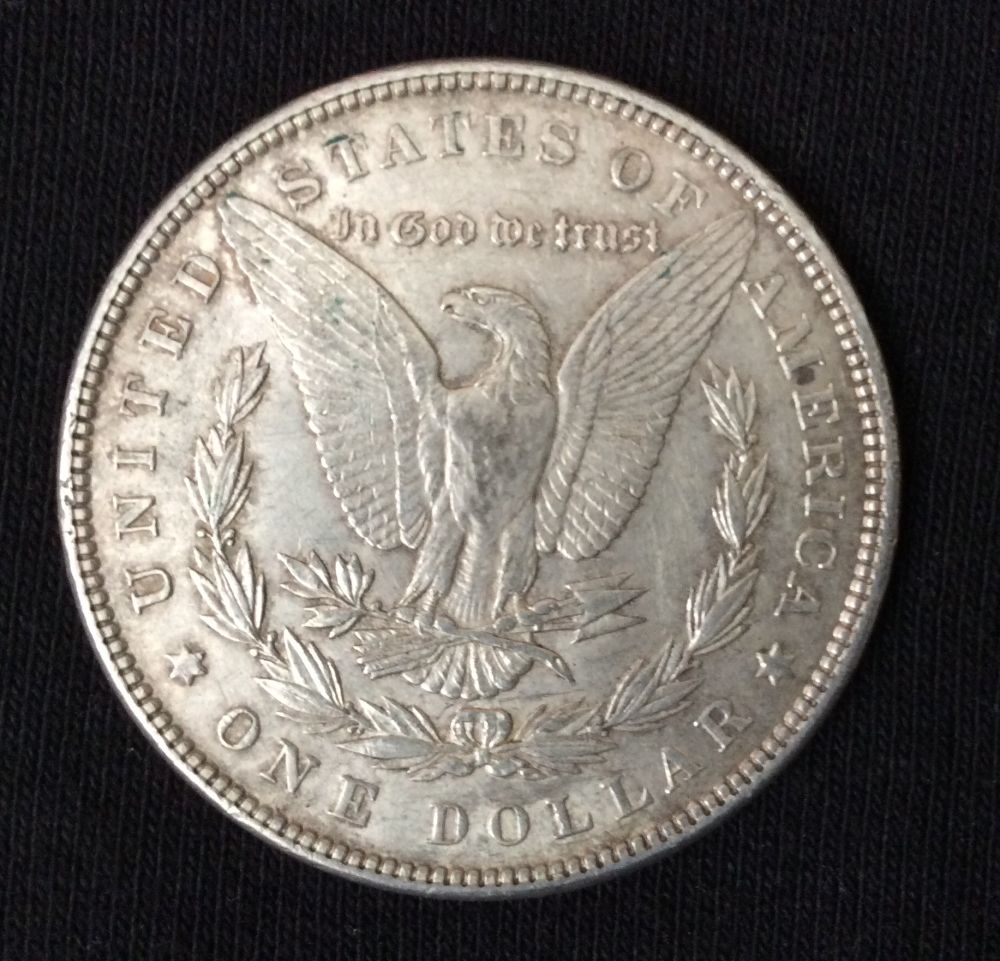 Newbie-Posting-Morgan-Dollar-Photo
