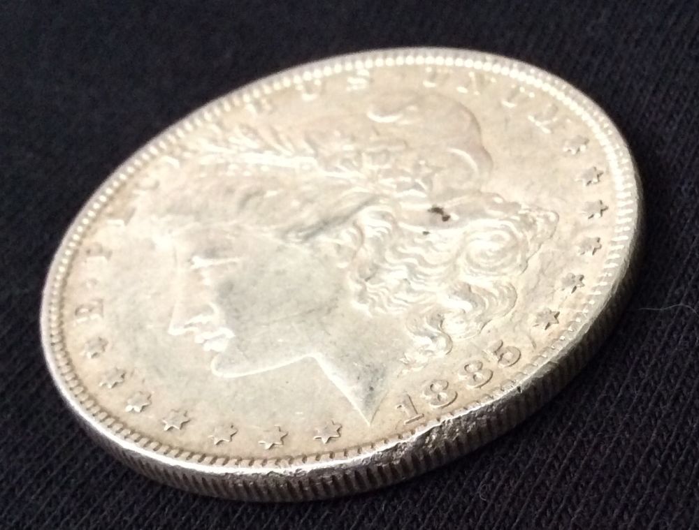 Newbie-Posting-Morgan-Dollar-Photo