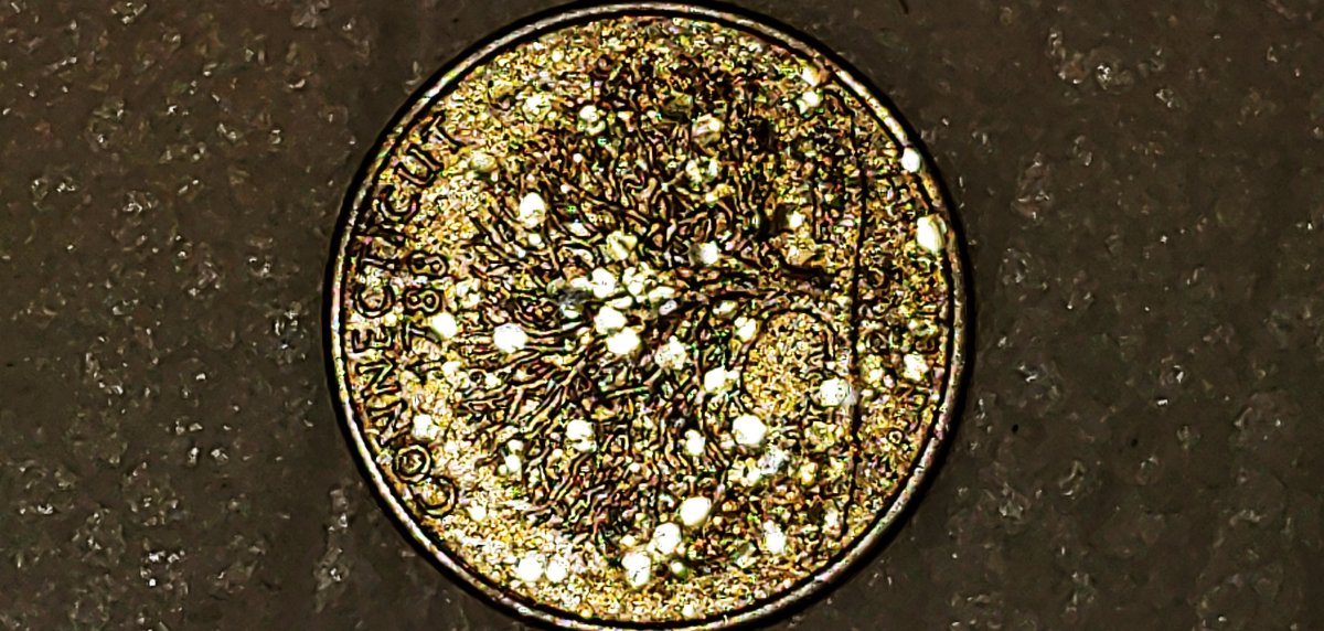 Connecticut-Quarter-With-Unusual-Marks-On-Back