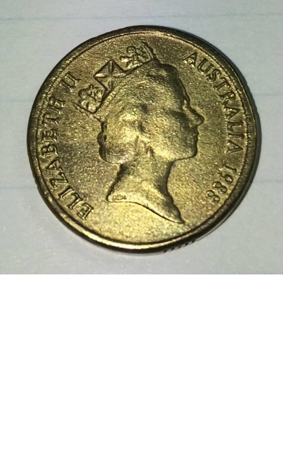 Grainy-Two-Dollar-Coin