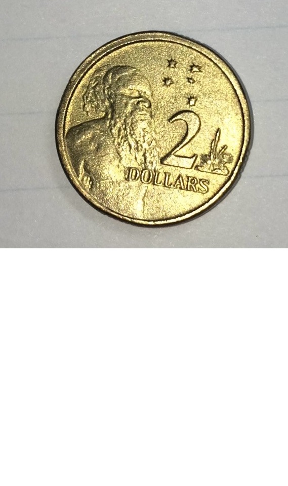 Grainy-Two-Dollar-Coin
