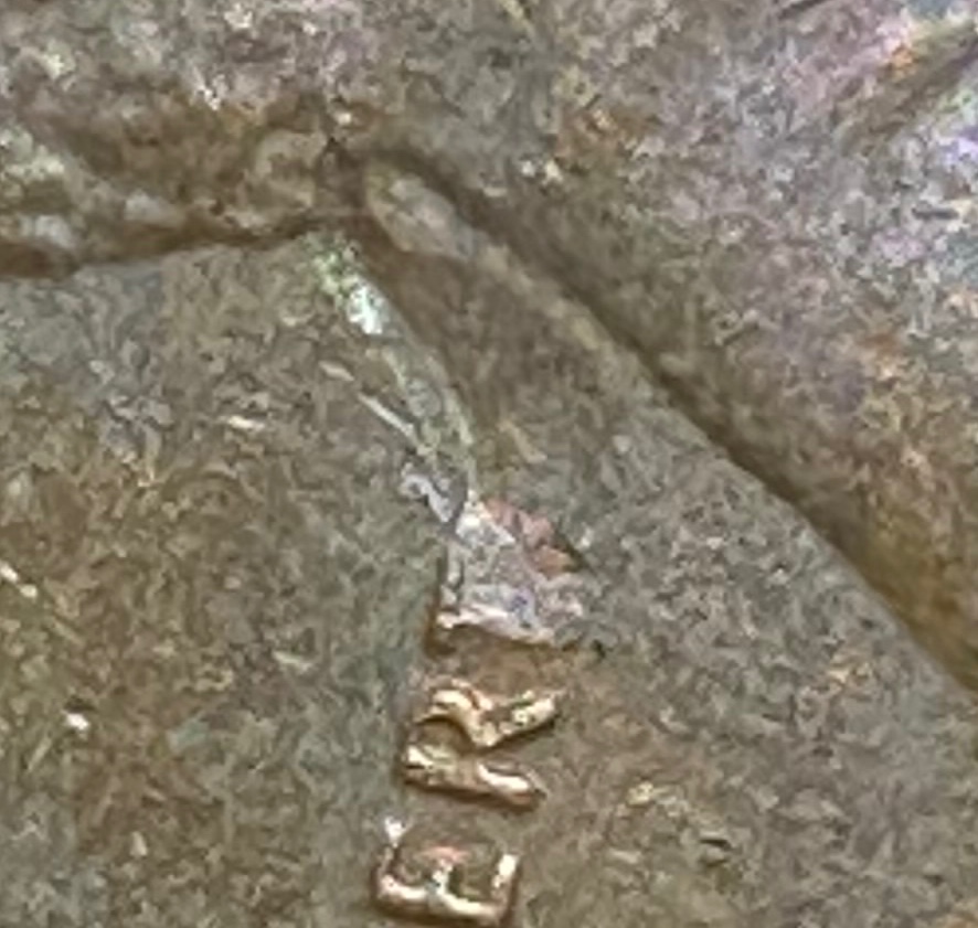Plain-Ol'-2020-D-Lincoln-Shield-Penny-Maybe-Not-So-Plain
