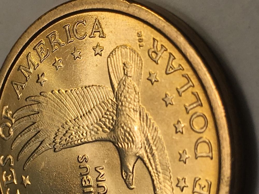Small-Dollar-Roll-Searching