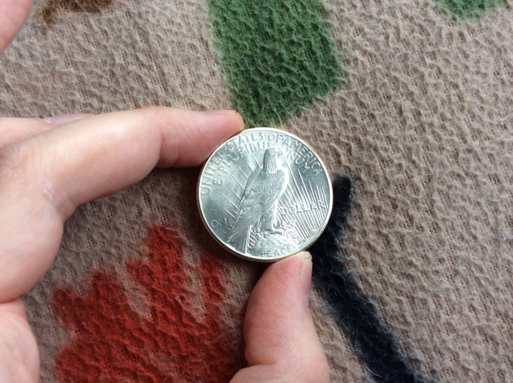 The-11-Days-Of-Peace-Dollars-Part-2!
