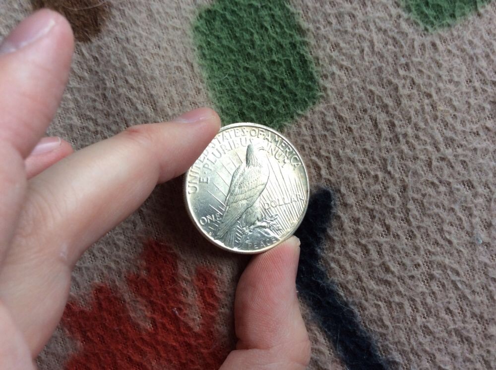 The-11-Days-Of-Peace-Dollars-Part-2!