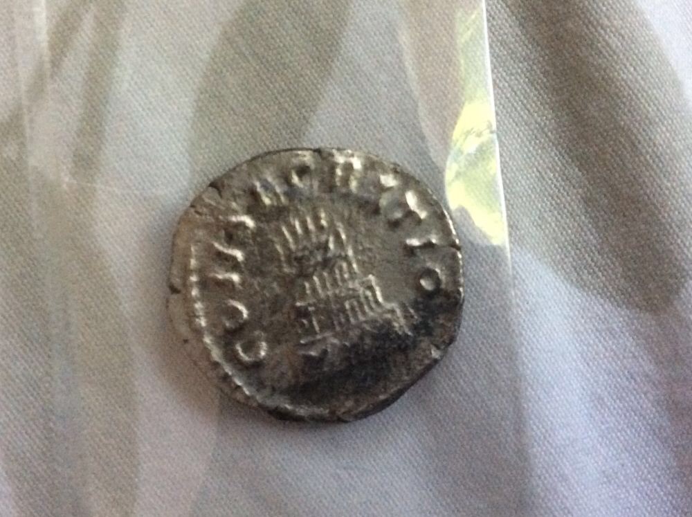 Ancient-Roman-Coin-For-Grading?