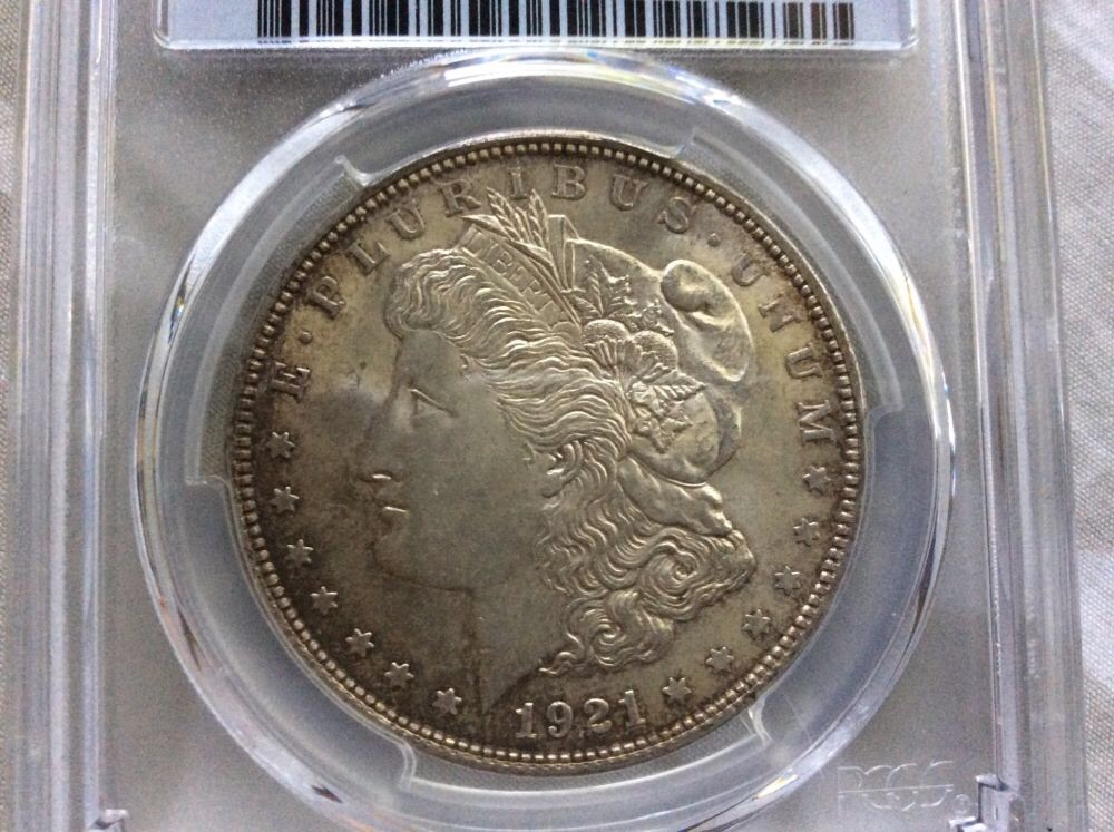 1921-D-Morgan-Undergraded?