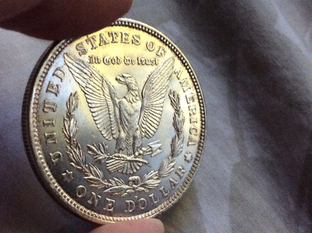 1921-D-Morgan-Undergraded?