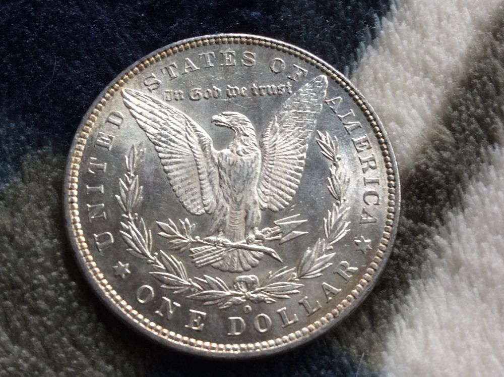 1880-O-Morgan-In-Hand-For-Grading