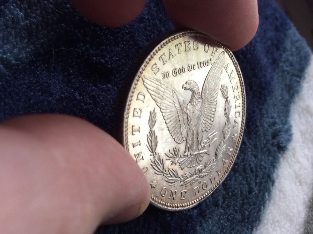 1880-O-Morgan-In-Hand-For-Grading