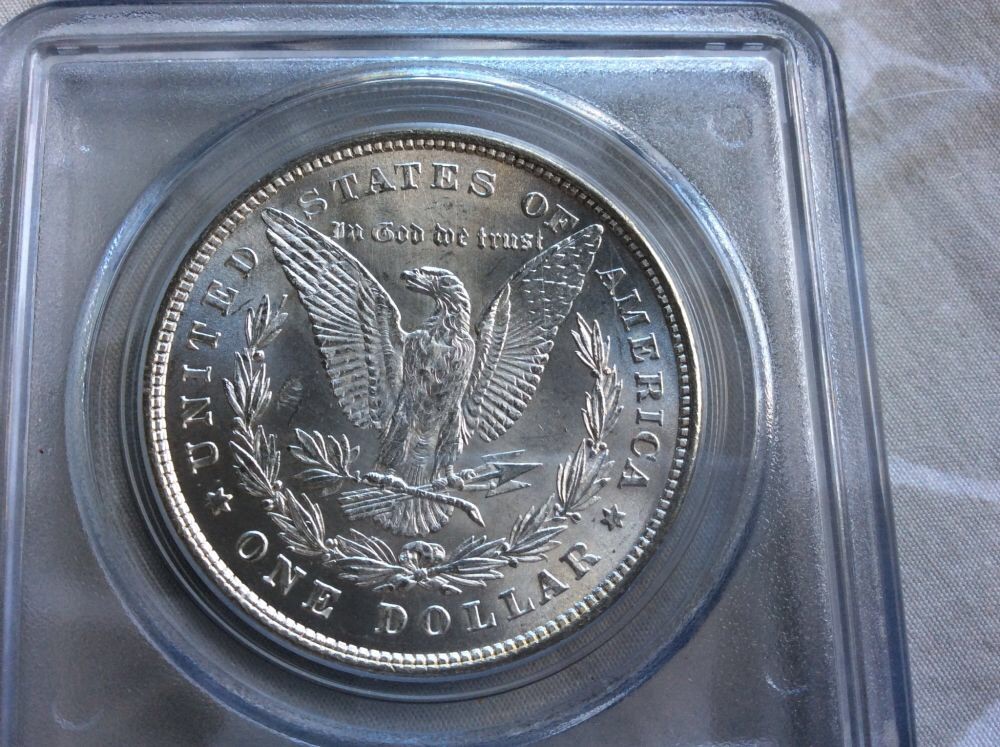 1883-Morgan-And-1878-8TF-For-Grading