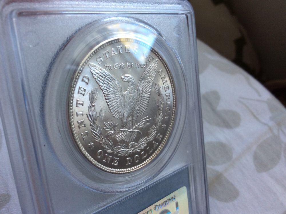 1883-Morgan-And-1878-8TF-For-Grading