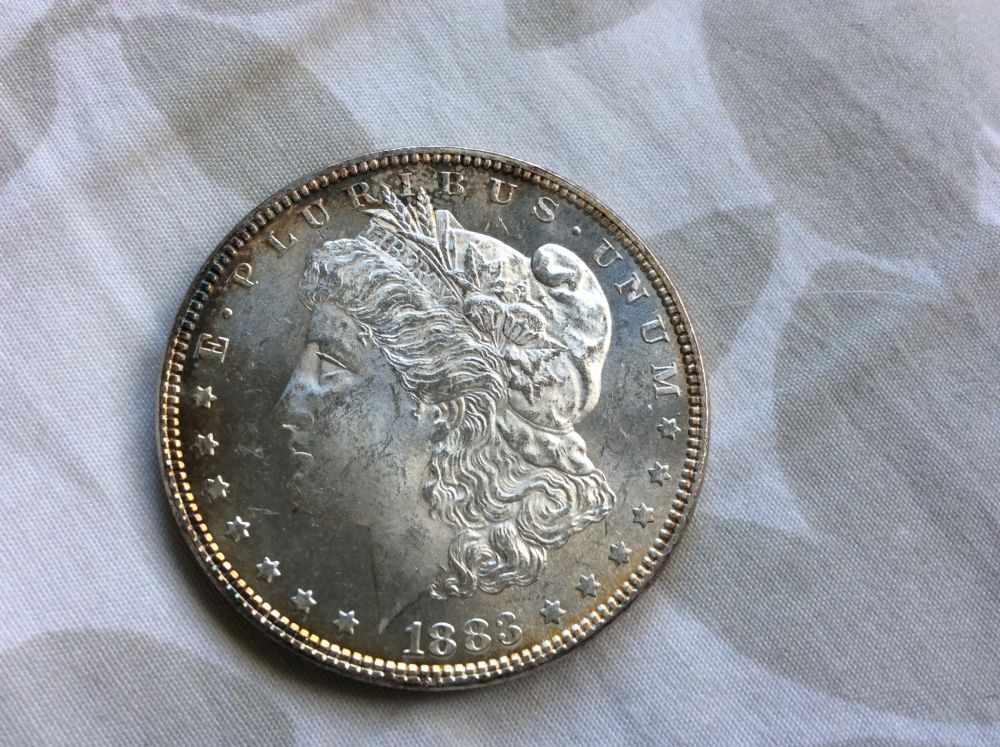 1883-Morgan-And-1878-8TF-For-Grading