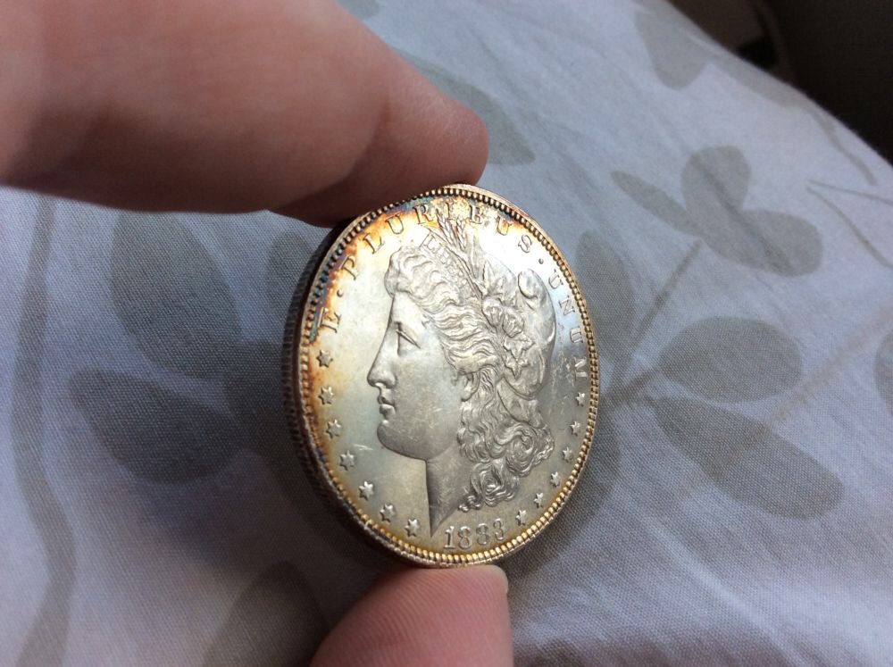 1883-Morgan-And-1878-8TF-For-Grading