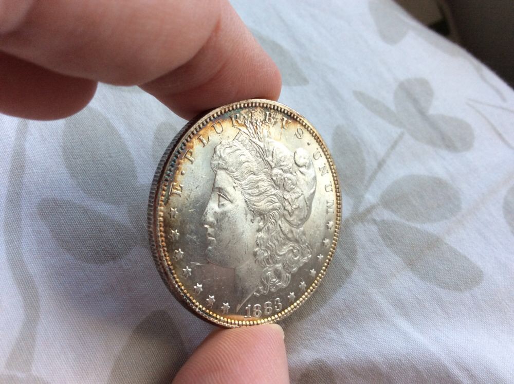 1883-Morgan-And-1878-8TF-For-Grading