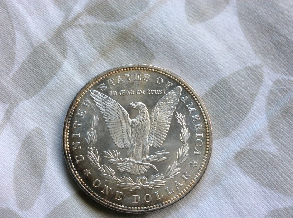 1883-Morgan-And-1878-8TF-For-Grading