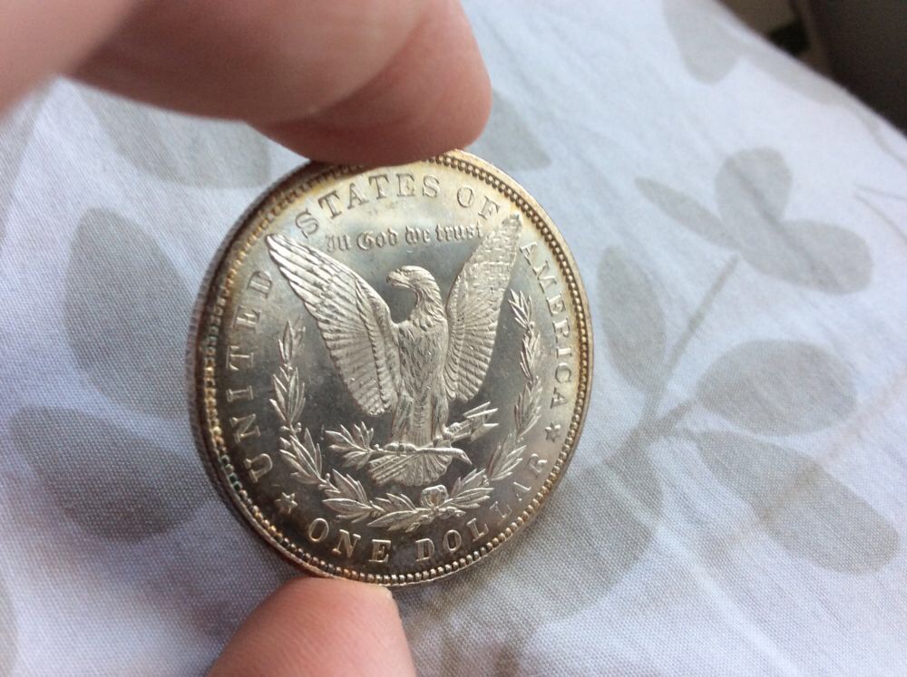 1883-Morgan-And-1878-8TF-For-Grading