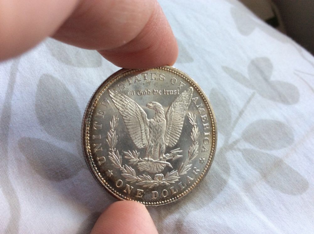 1883-Morgan-And-1878-8TF-For-Grading