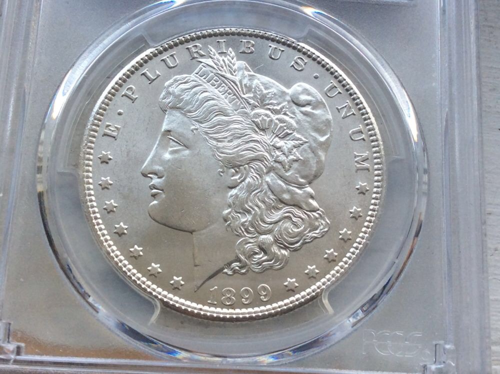 1897-S-And-1899-Morgan-For-Grading