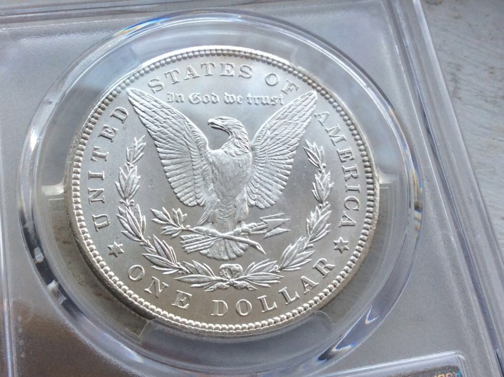 1897-S-And-1899-Morgan-For-Grading