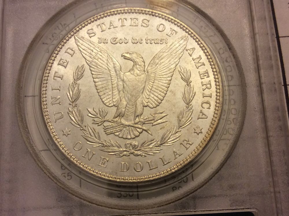 5-Morgan's-In-OGH-For-Grading.--Considering-NGC-Crossover