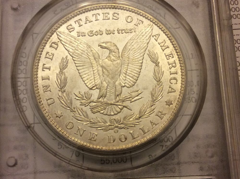 5-Morgan's-In-OGH-For-Grading.--Considering-NGC-Crossover