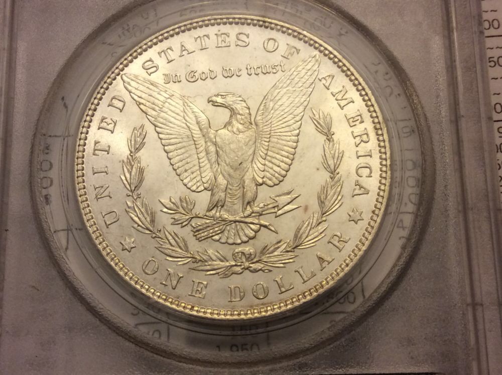 5-Morgan's-In-OGH-For-Grading.--Considering-NGC-Crossover