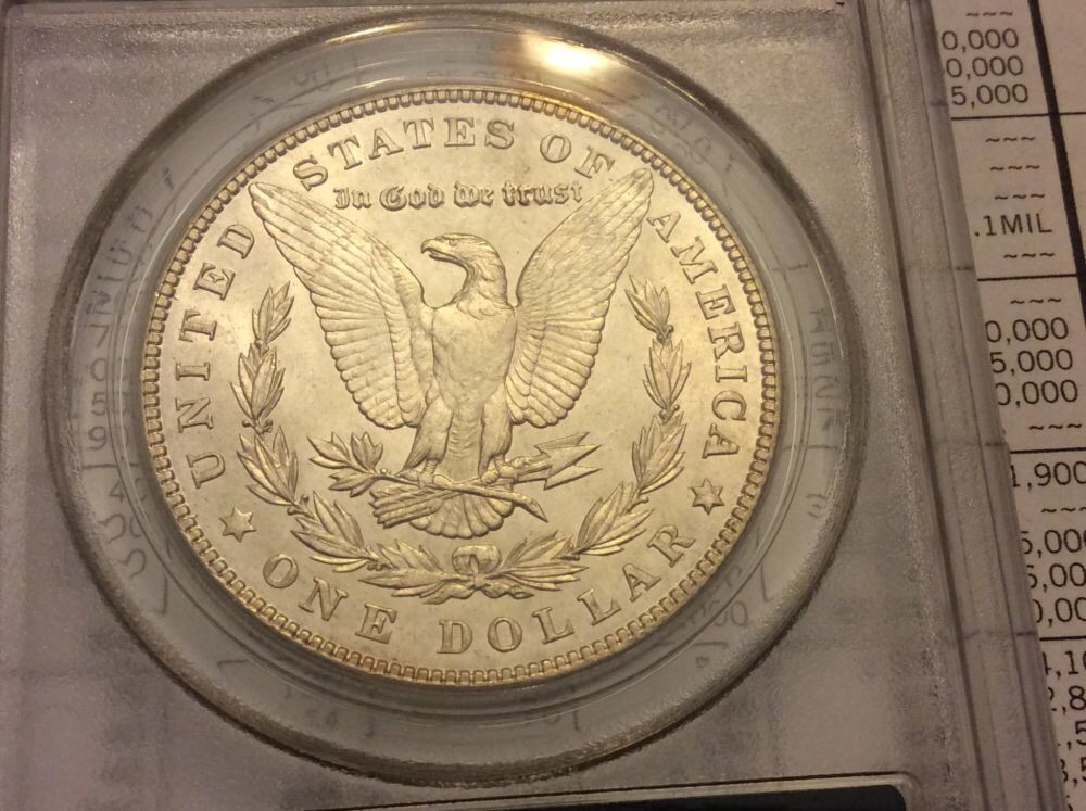 5-Morgan's-In-OGH-For-Grading.--Considering-NGC-Crossover