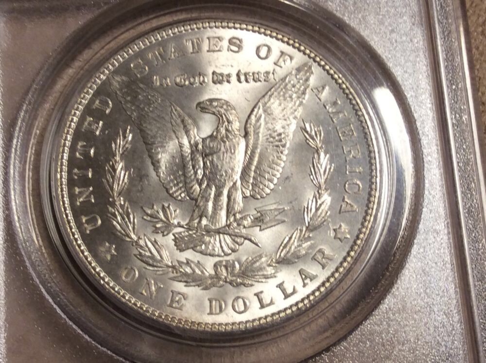 5-Morgan's-In-OGH-For-Grading.--Considering-NGC-Crossover