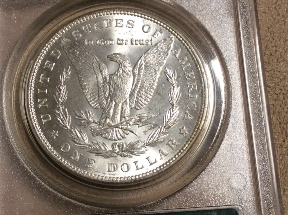 5-Morgan's-In-OGH-For-Grading.--Considering-NGC-Crossover