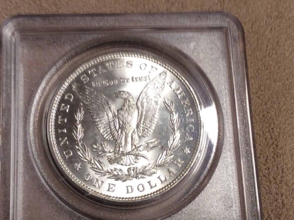 5-Morgan's-In-OGH-For-Grading.--Considering-NGC-Crossover