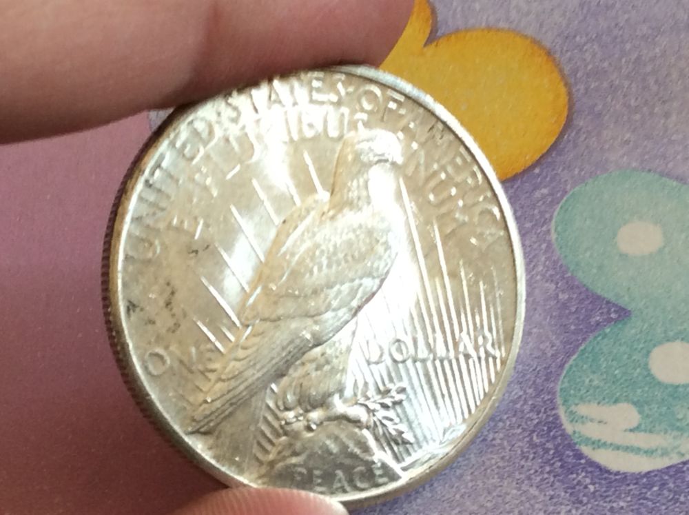 1926-Peace-Dollar-For-Grading