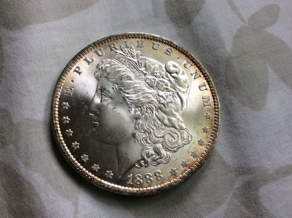 1888-Morgan-For-Grading
